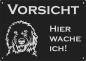 Preview: Labradoodle | Aluminium Warnschild